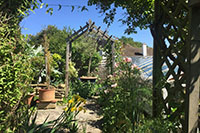 A hidden corner of the garden